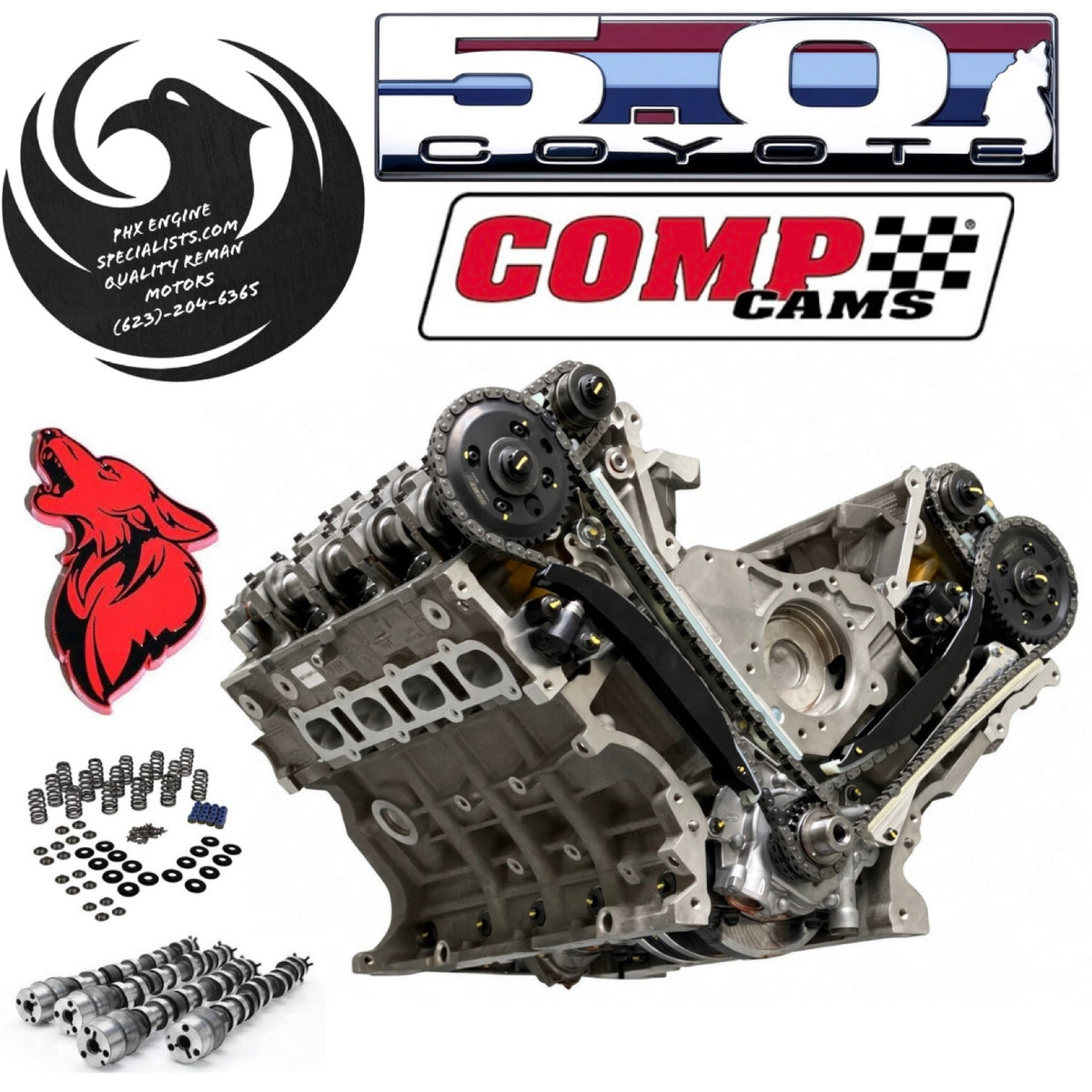 Cammed Ford 5.0L Coyote remanufactured engine with COMP Cams Stage 1-3 cams - three-quarter front timing view - Phoenix Engine Specialists